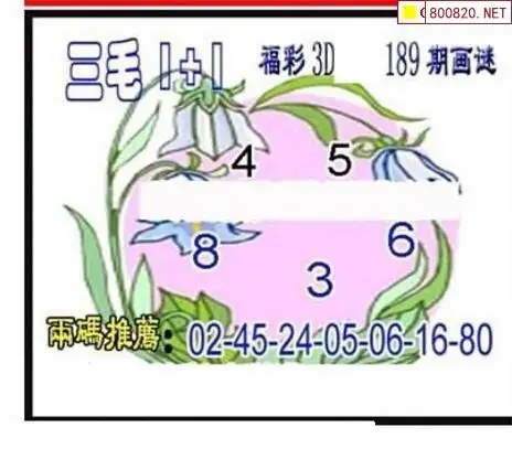 25189期: 三毛3D精品图谜