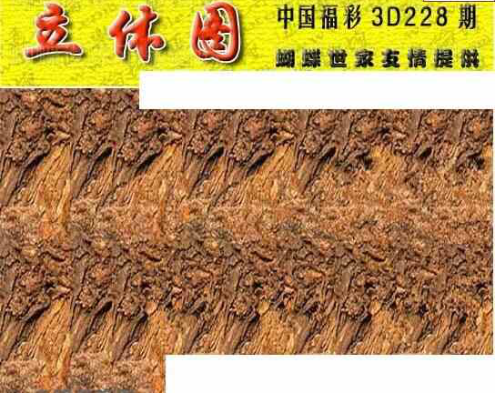 24228期: 3D蝴蝶世家蝴蝶彩图