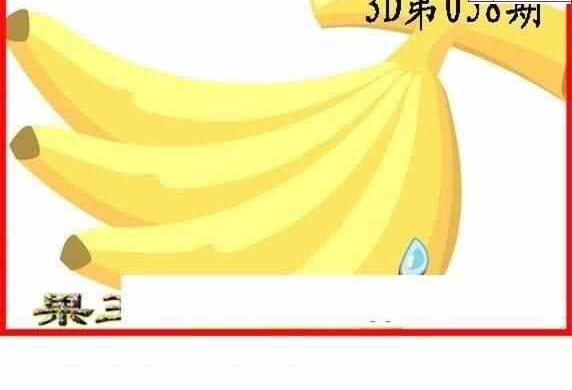 25058期: 白老3D杀码图版