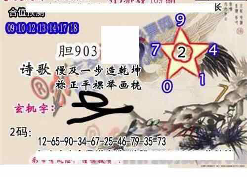 24169期: 白老3D杀码图版