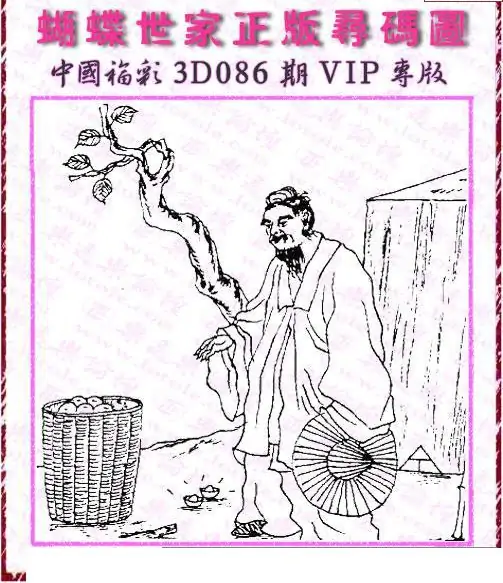 25086期: 3D蝴蝶世家蝴蝶彩图