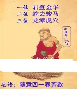 26065期: 白老3D杀码图版