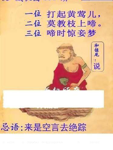 24334期: 白老3D杀码图版