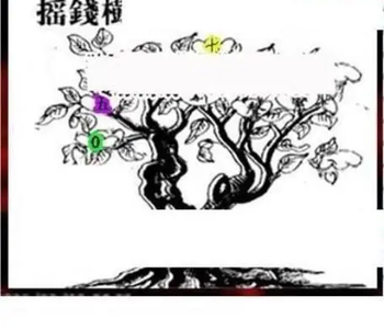 26092期: 三毛3D精品图谜