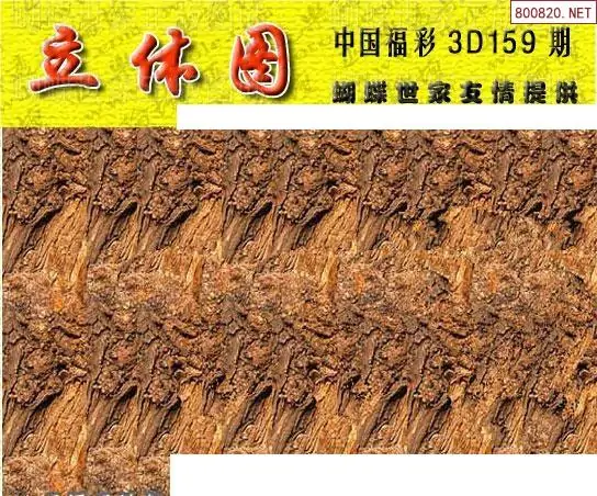 25159期: 3D蝴蝶世家蝴蝶彩图