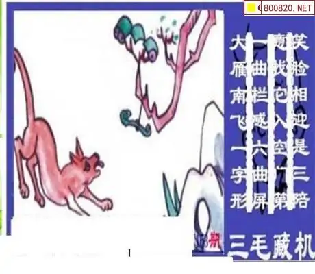 25163期: 三毛3D精品图谜