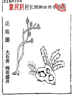 25316期: 老村长福彩3D天天图谜