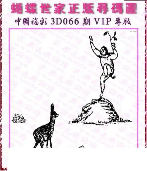 25066期: 3D蝴蝶世家蝴蝶彩图