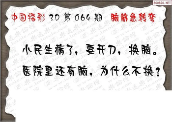 26064期: 3D蝴蝶世家蝴蝶彩图