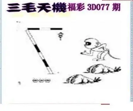 25077期: 三毛3D精品图谜