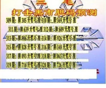 25320期: 三毛3D精品图谜