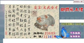 26025期: 3D蝴蝶世家蝴蝶彩图