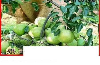 26061期: 白老3D杀码图版