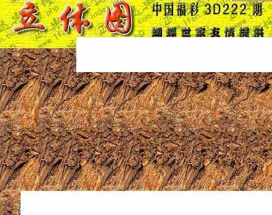 24222期: 3D蝴蝶世家蝴蝶彩图