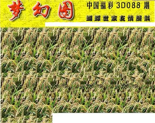 25088期: 3D蝴蝶世家蝴蝶彩图