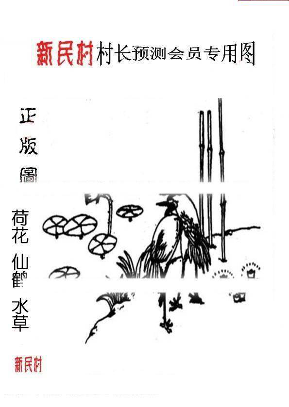 25006期: 老村长福彩3D天天图谜