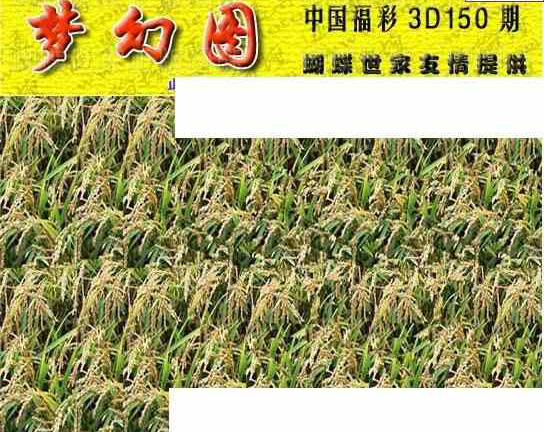 24150期: 3D蝴蝶世家蝴蝶彩图