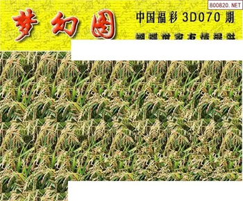 26070期: 3D蝴蝶世家蝴蝶彩图