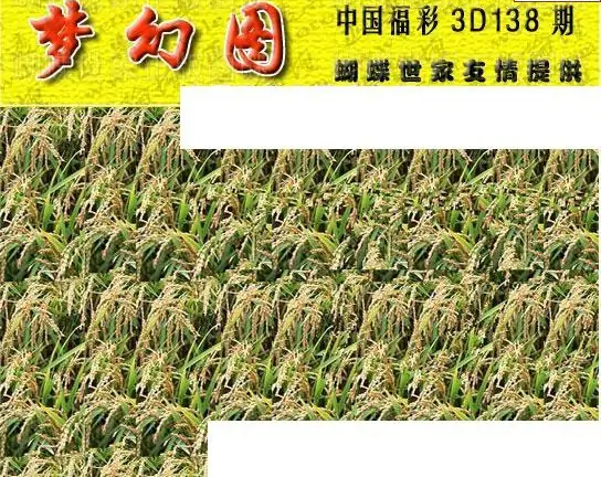 25138期: 3D蝴蝶世家蝴蝶彩图