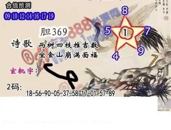 25322期: 白老3D杀码图版
