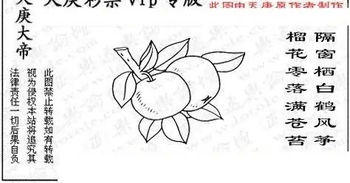 25349期: 3D蝴蝶世家蝴蝶彩图