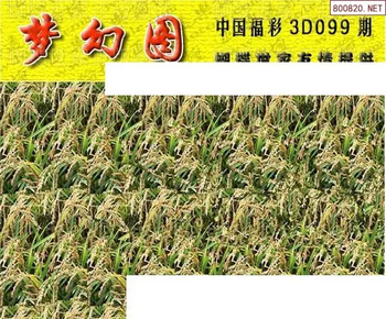 26099期: 3D蝴蝶世家蝴蝶彩图