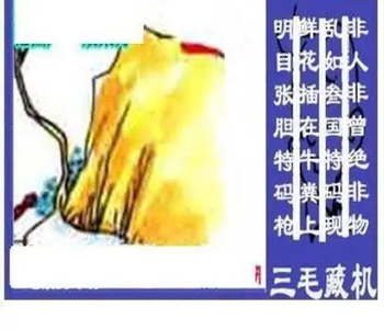 26021期: 三毛3D精品图谜