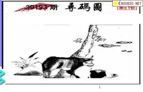 25193期: 三毛3D精品图谜