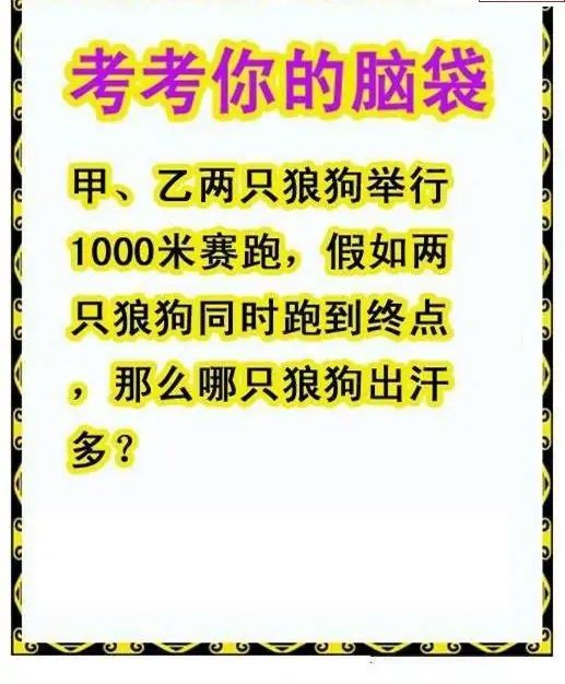 25149期: 白老3D杀码图版