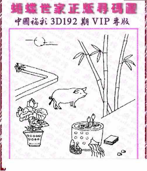 24192期: 3D蝴蝶世家蝴蝶彩图