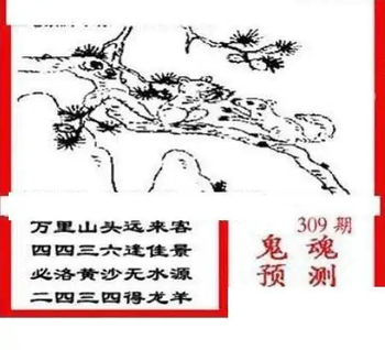 25309期: 三毛3D精品图谜