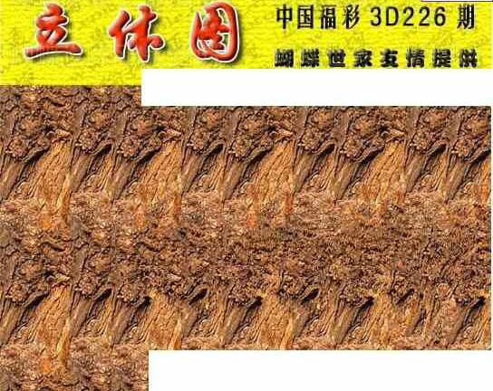 24226期: 3D蝴蝶世家蝴蝶彩图