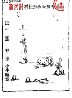 25315期: 老村长福彩3D天天图谜