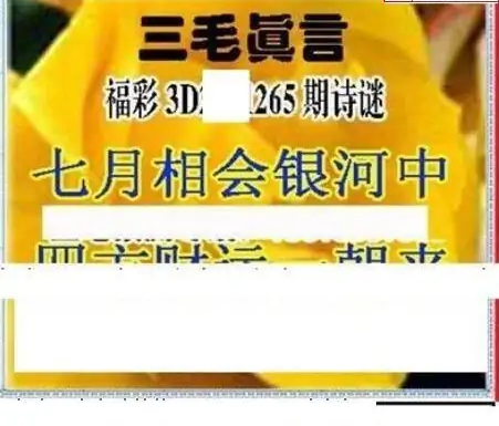 25265期: 三毛3D精品图谜