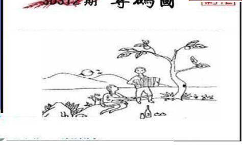 24312期: 三毛3D精品图谜