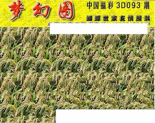 24093期: 3D蝴蝶世家蝴蝶彩图