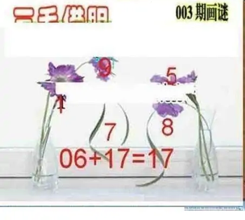 26003期: 三毛3D精品图谜