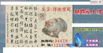 25349期: 3D蝴蝶世家蝴蝶彩图