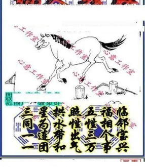 25339期: 三毛3D精品图谜