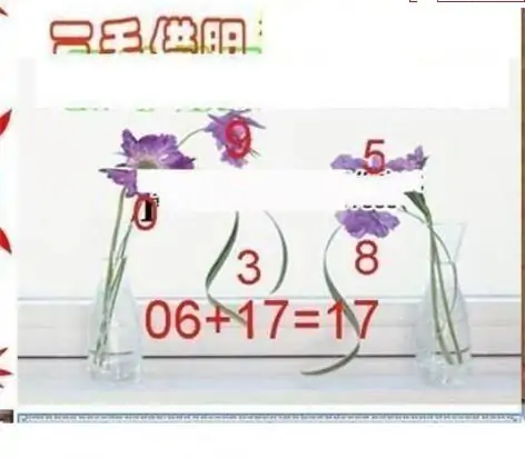 25091��: ��ë3D��Ʒͼ��