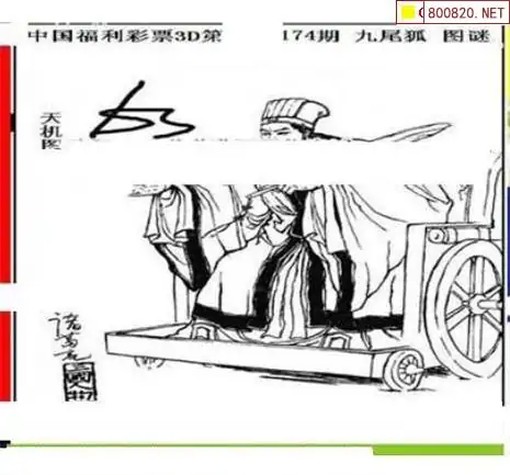 25174期: 三毛3D精品图谜