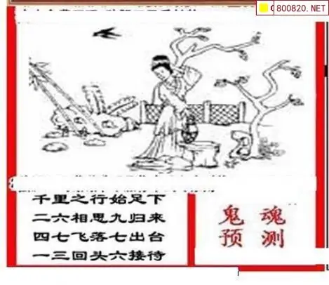 25196期: 三毛3D精品图谜