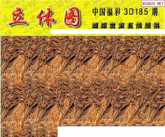 25185期: 3D蝴蝶世家蝴蝶彩图