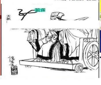 26017期: 三毛3D精品图谜