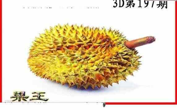 24197期: 白老3D杀码图版