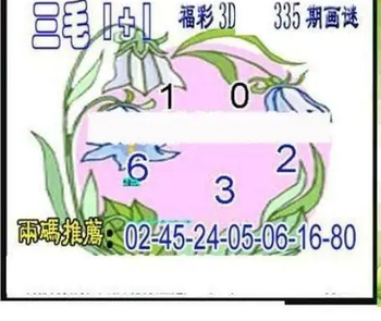 25335期: 三毛3D精品图谜