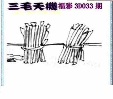 25033期: 三毛3D精品图谜