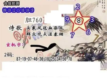 26080期: 白老3D杀码图版