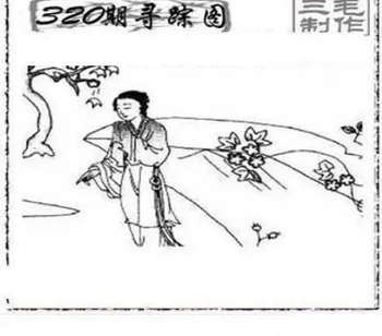 25320期: 三毛3D精品图谜