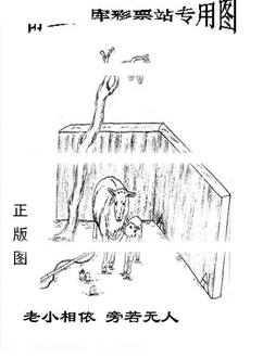 26004期: 老村长福彩3D天天图谜